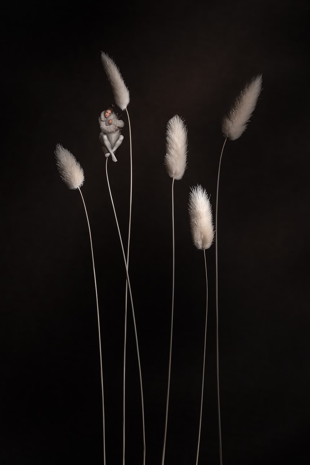 SONJA HESSLOW, Secluded
