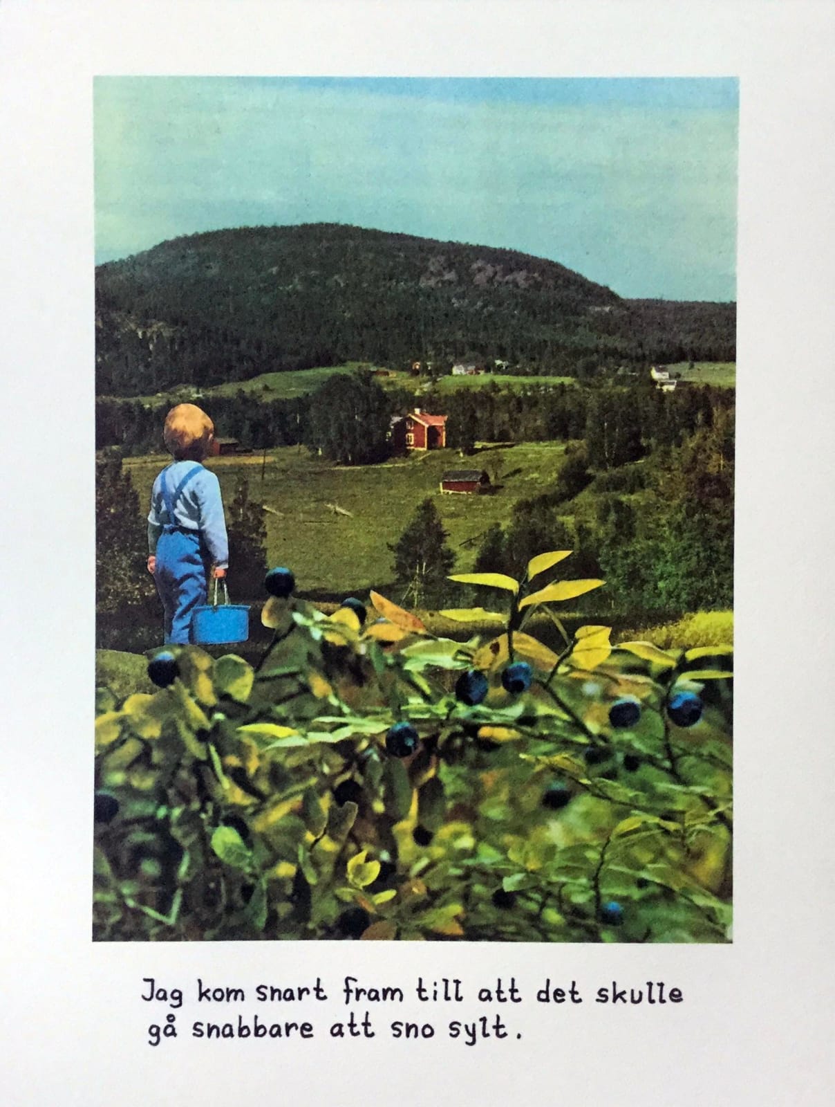Jan Stenmark, Blåbär / Blueberries
