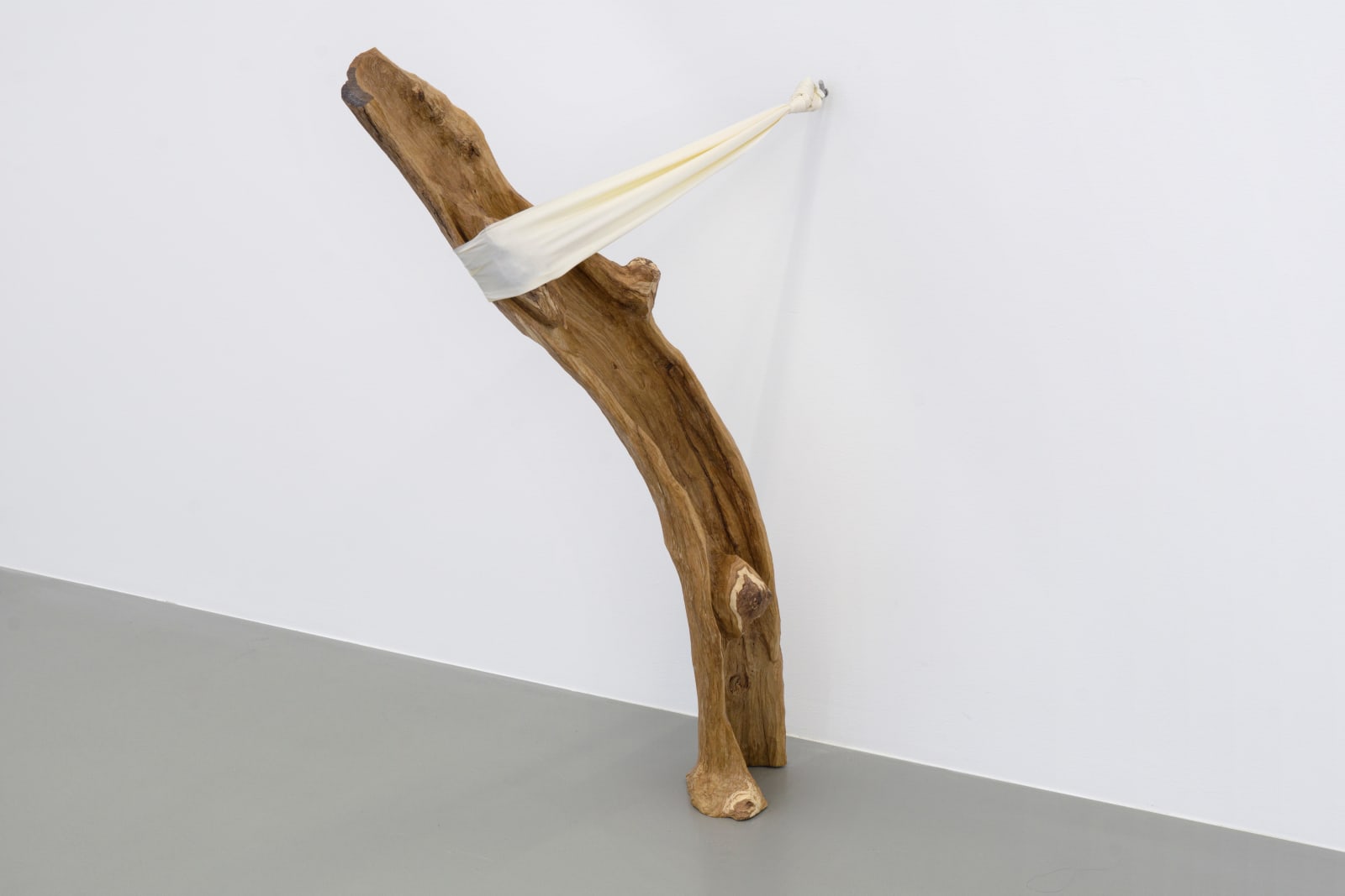 Jordana Loeb, Tendon I, 2022