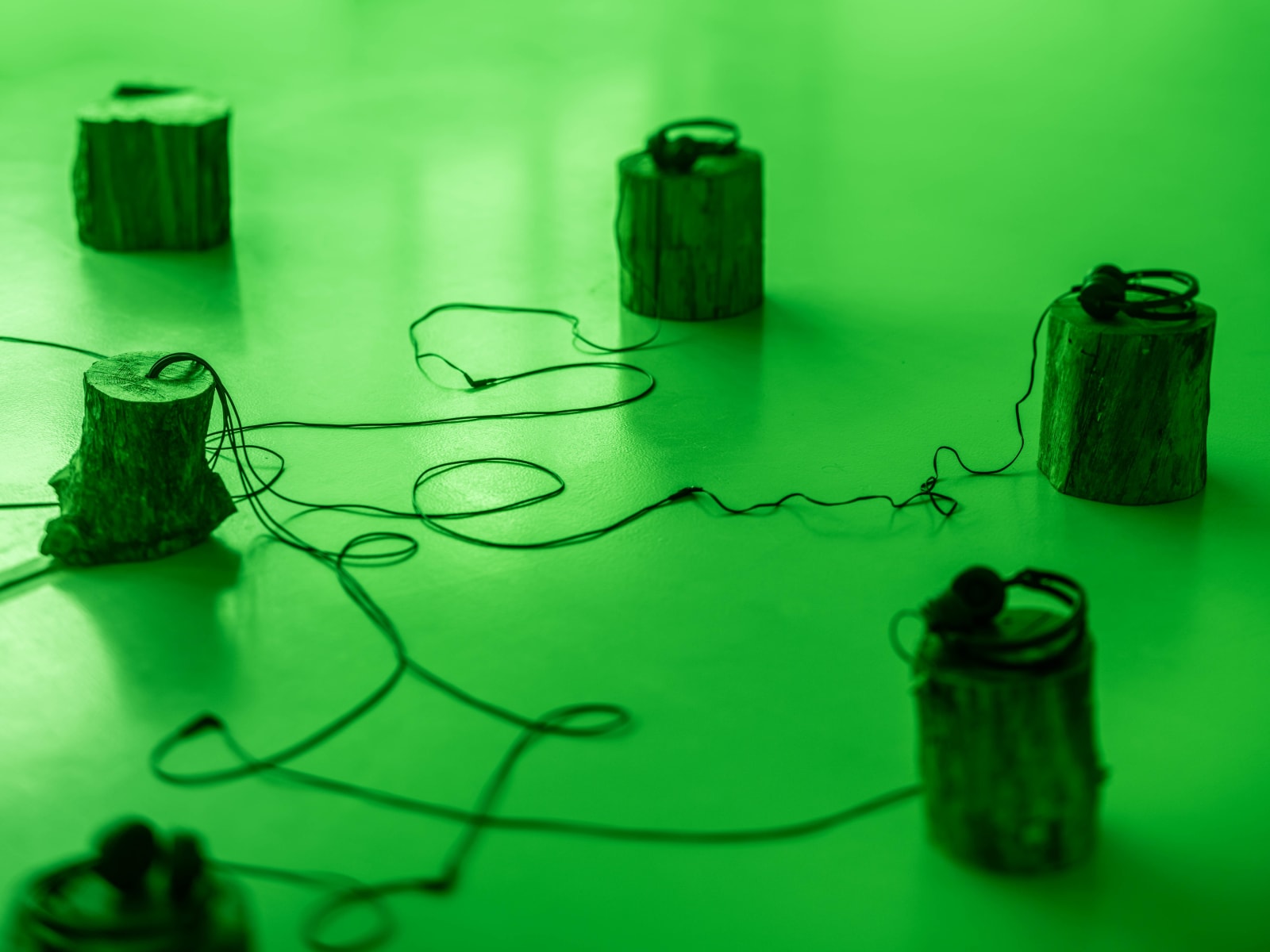 Martina Hoogland Ivanow, Second Nature Gyda, 2022-23