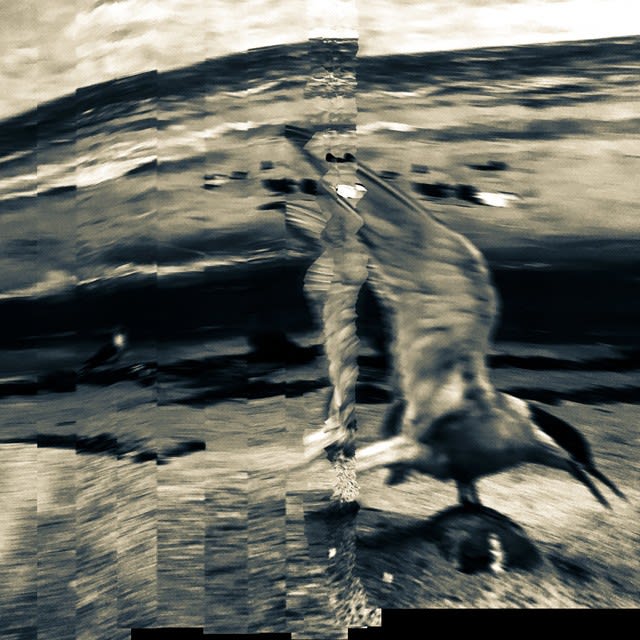 Serinyà, Noises from the Silent Land no 5937, 2017
