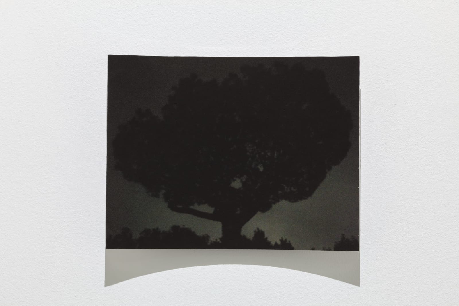 Karl Dunér, Parabol 10, 132 a 8 , 2023