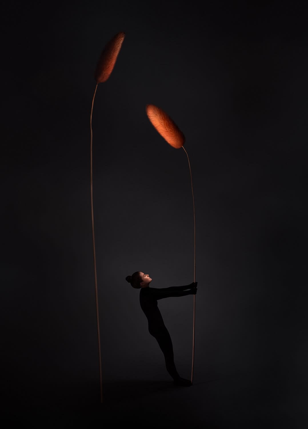 SONJA HESSLOW, Me / See Me