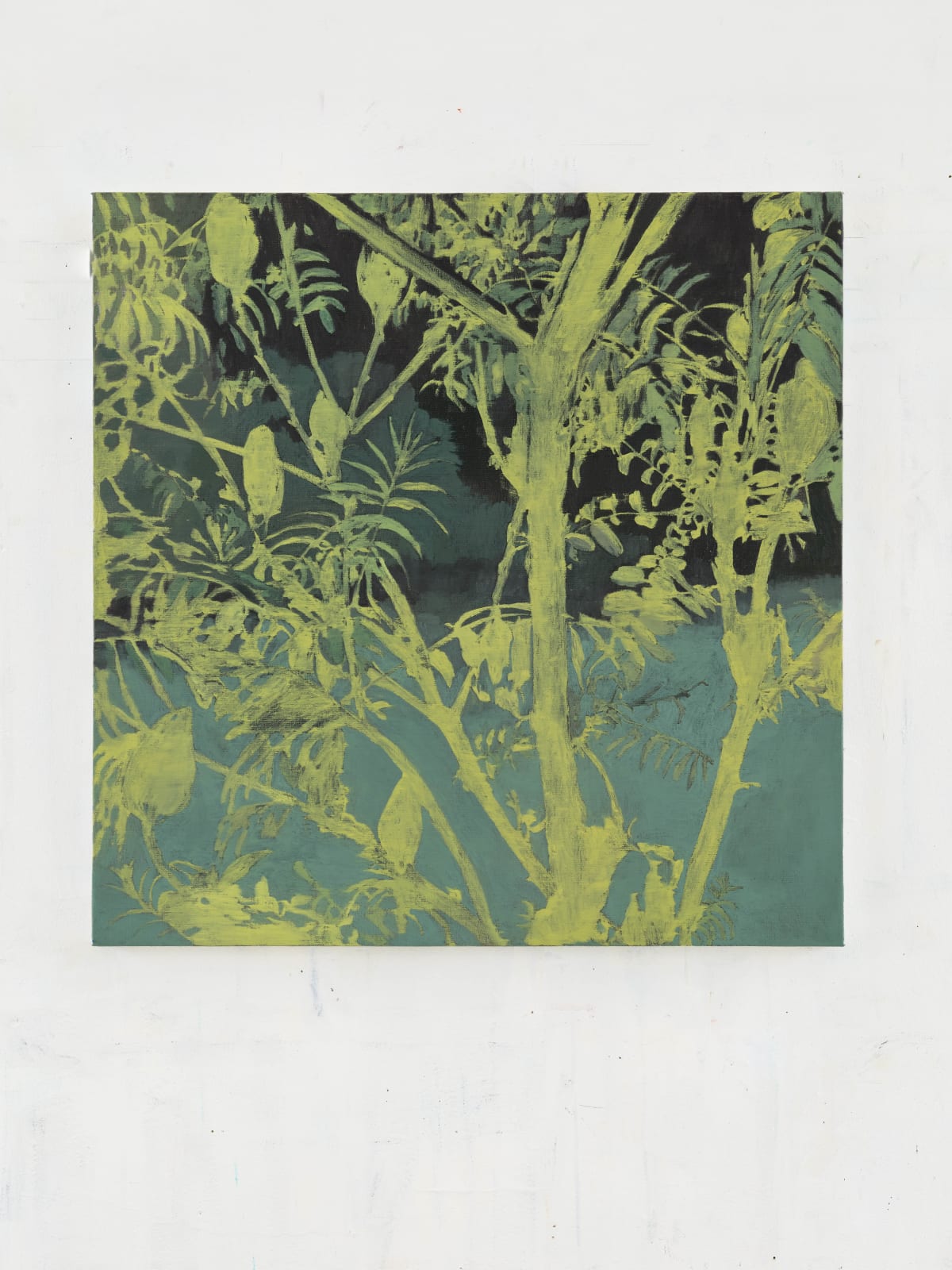 Alexandra Kern, Kamoflage / Camouflage, 2024