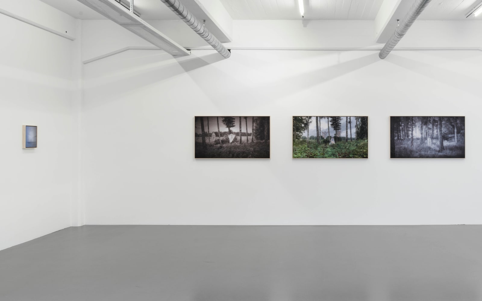Joanne Grüne-Yanoff, Cassandra's Air, 2023