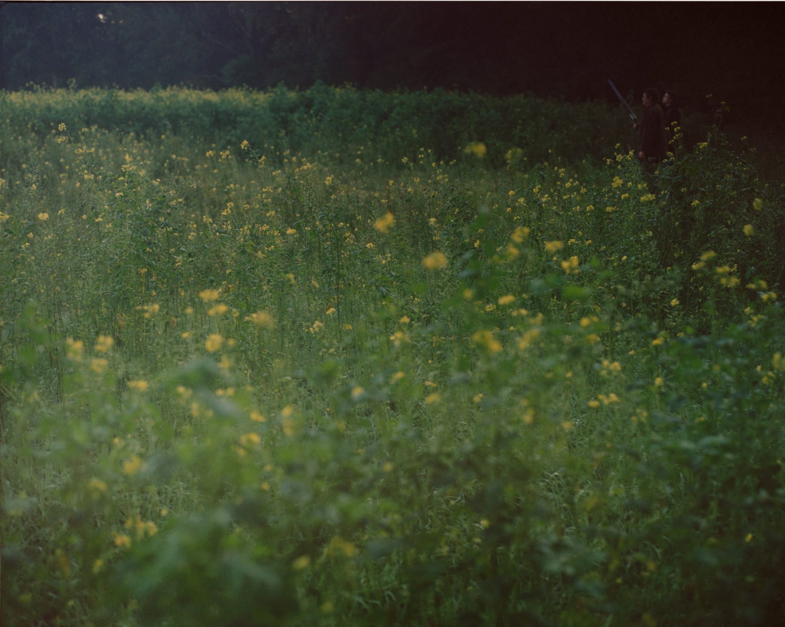 Martina Hoogland Ivanow, Circular Wait