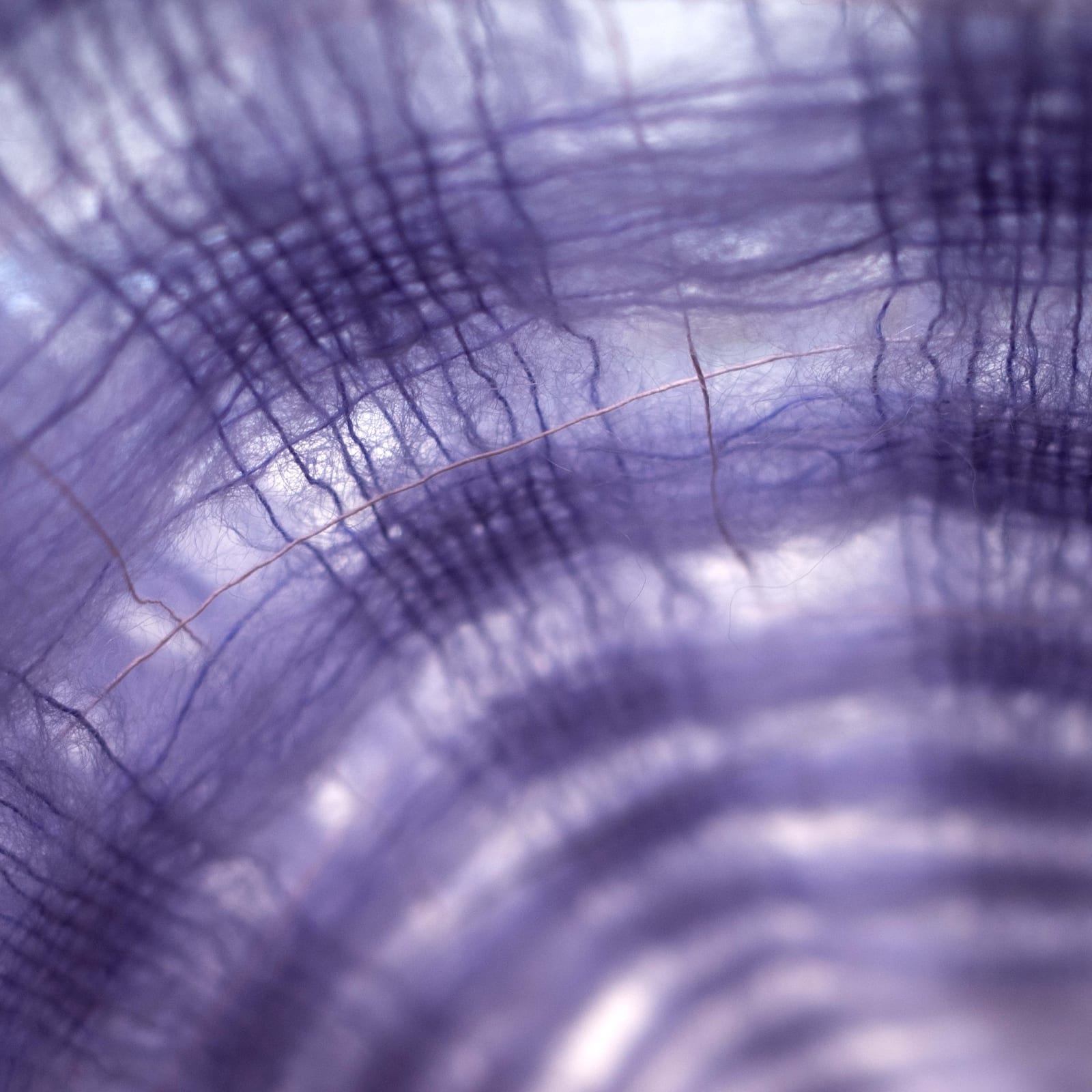 Klara Gardtman, I Was Double Crossed, 2024