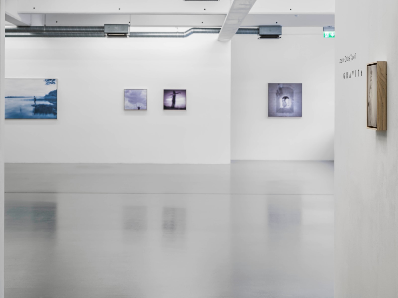 Joanne Grüne-Yanoff, Cassandra's Pull, 2024