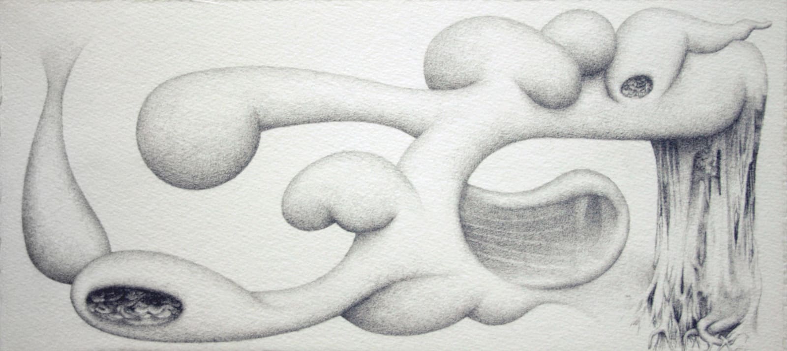 Johnathan Daily, Graffiti (series Life Science), 2006