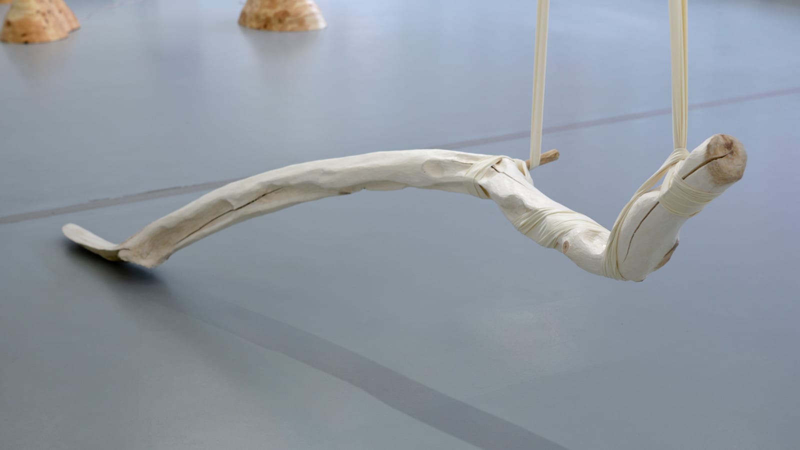 Jordana Loeb, Tendon III, 2022