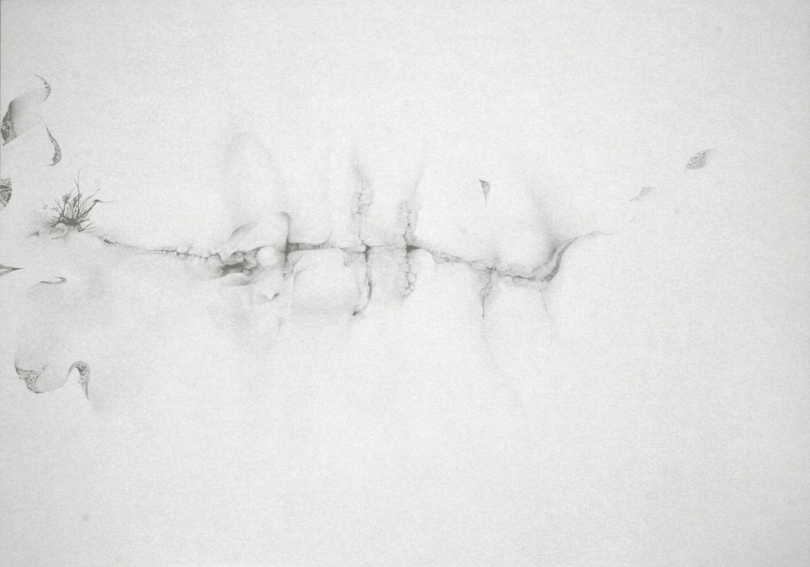 Johnathan Daily, Untitled (series Life Science), 2007