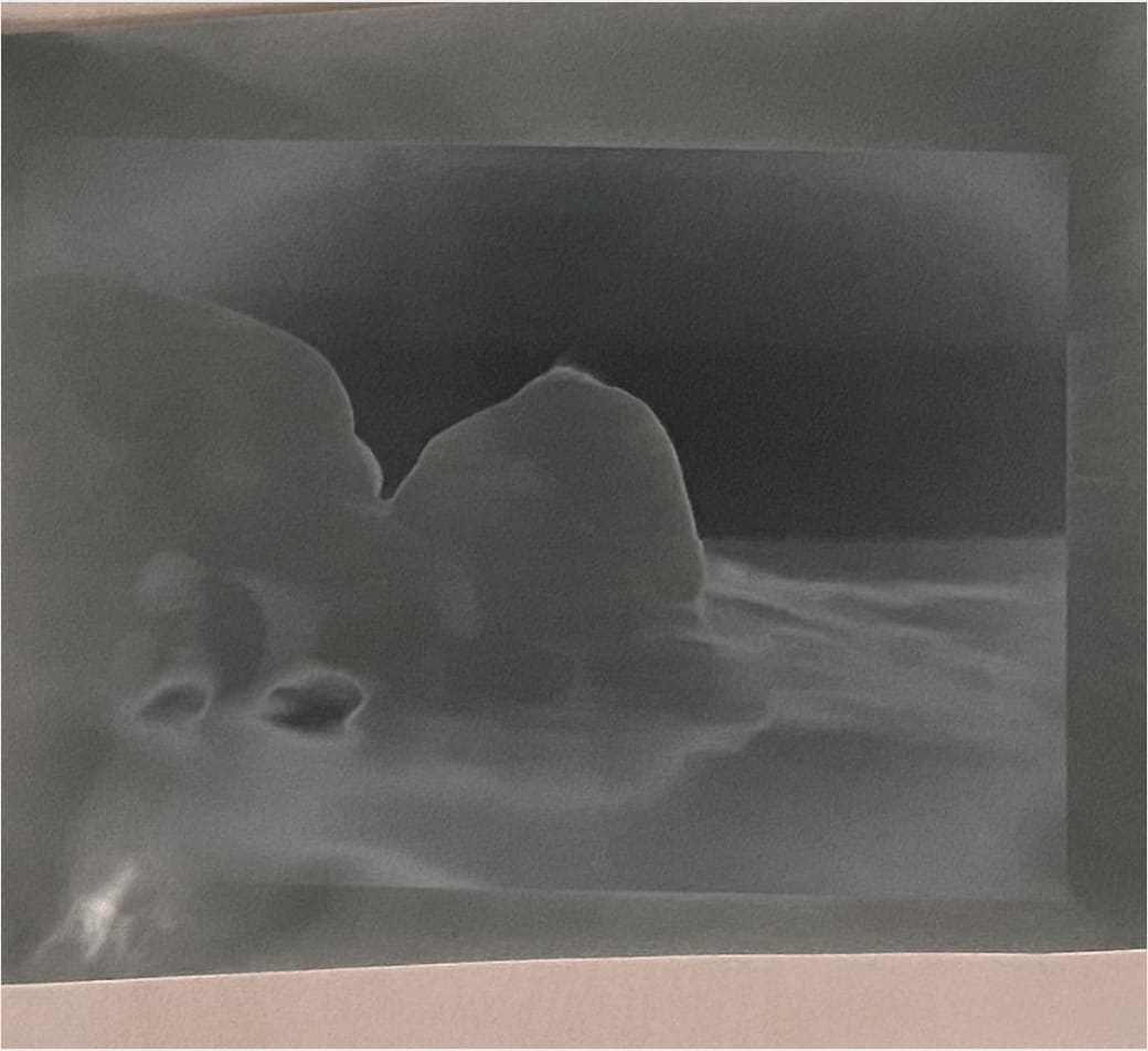 Martina Hoogland Ivanow, Early Reading #3, 2021