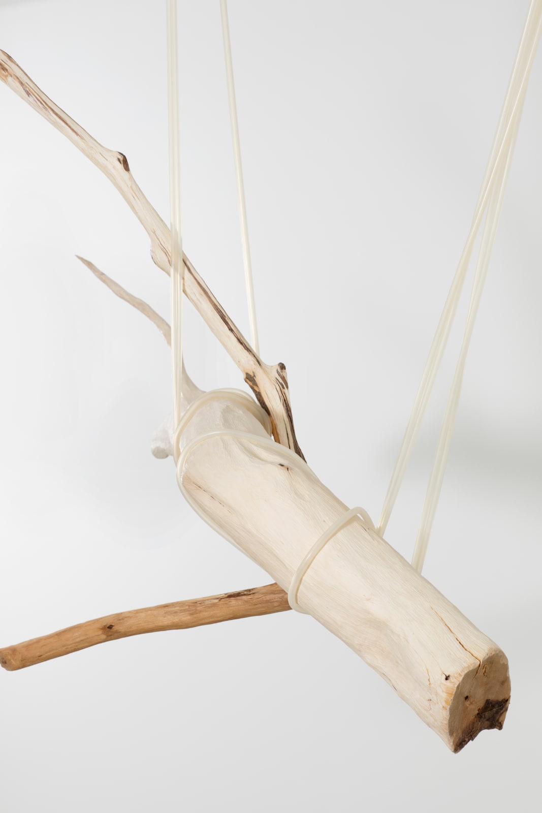 Jordana Loeb, Tendon IV, 2022