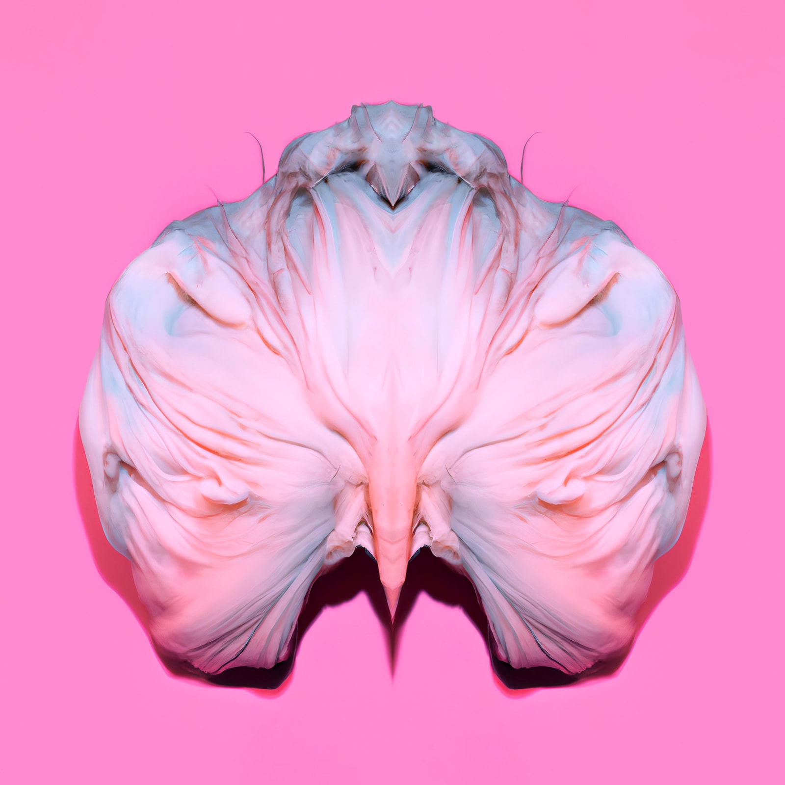 Susanne Fagerlund, Fruiting Bodies 1, 2023