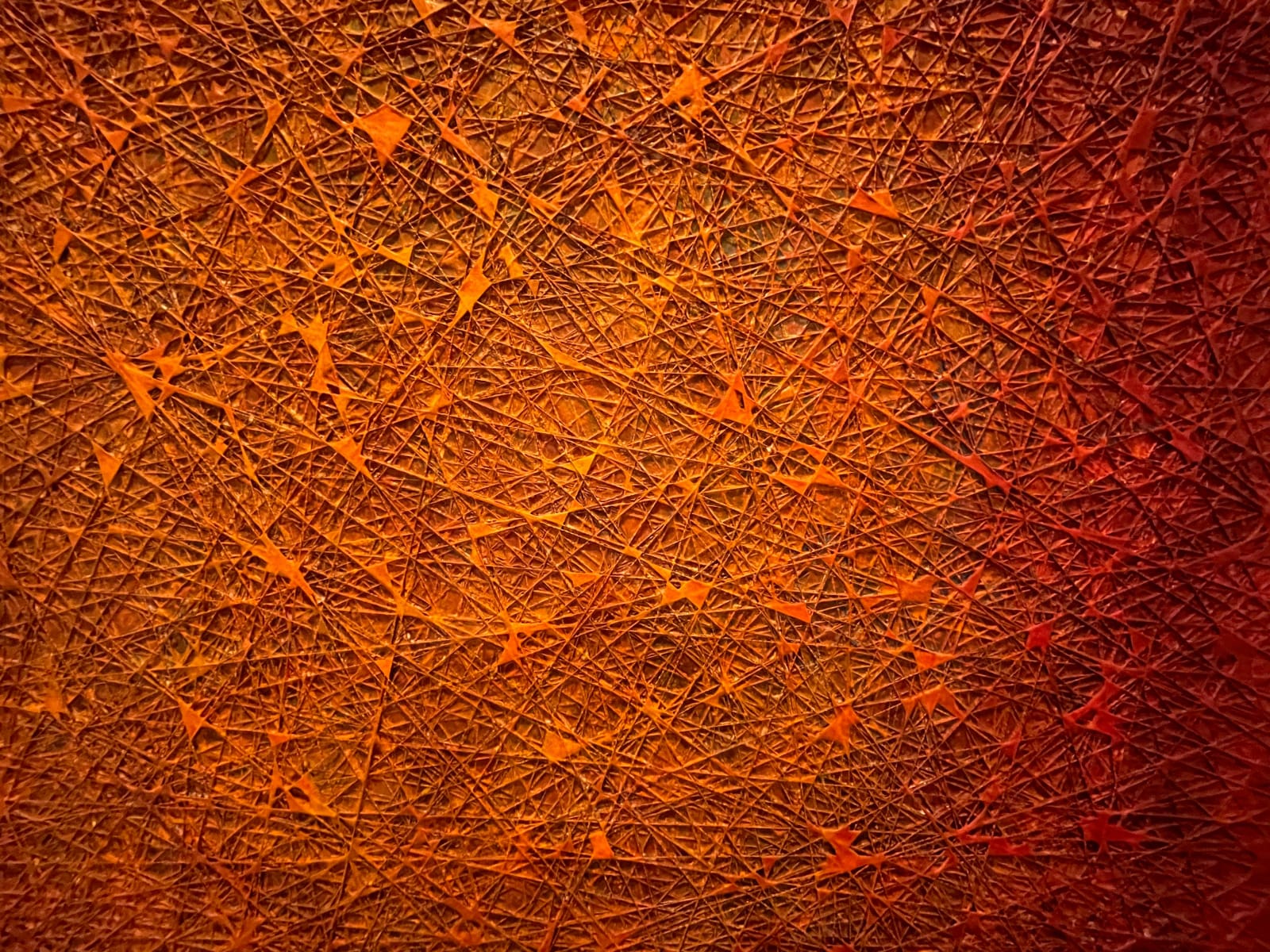 David Eisenhauer, Ursa Major