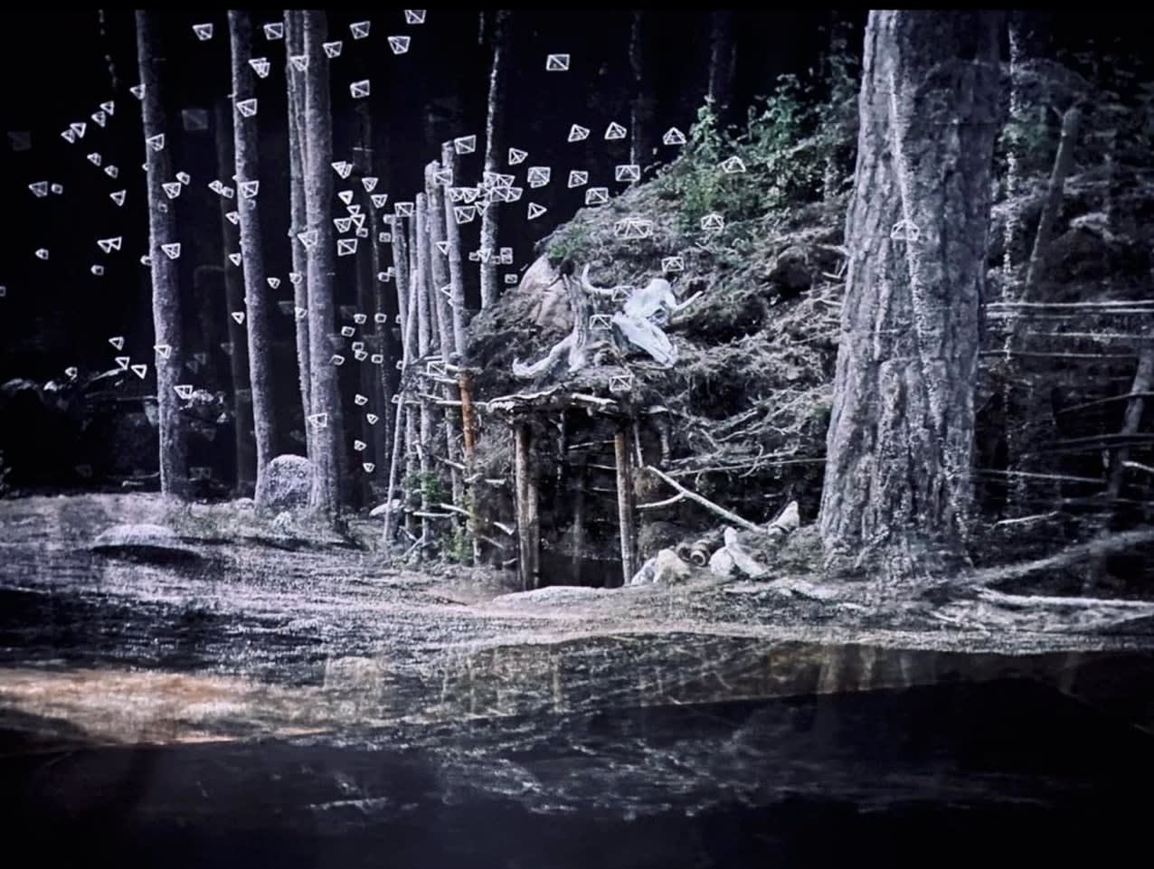 Martina Hoogland Ivanow, Second Nature 1, 2022