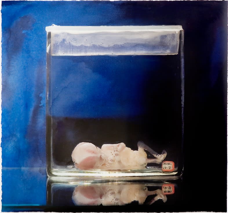 Tove Kjellmark, Misc, 2011