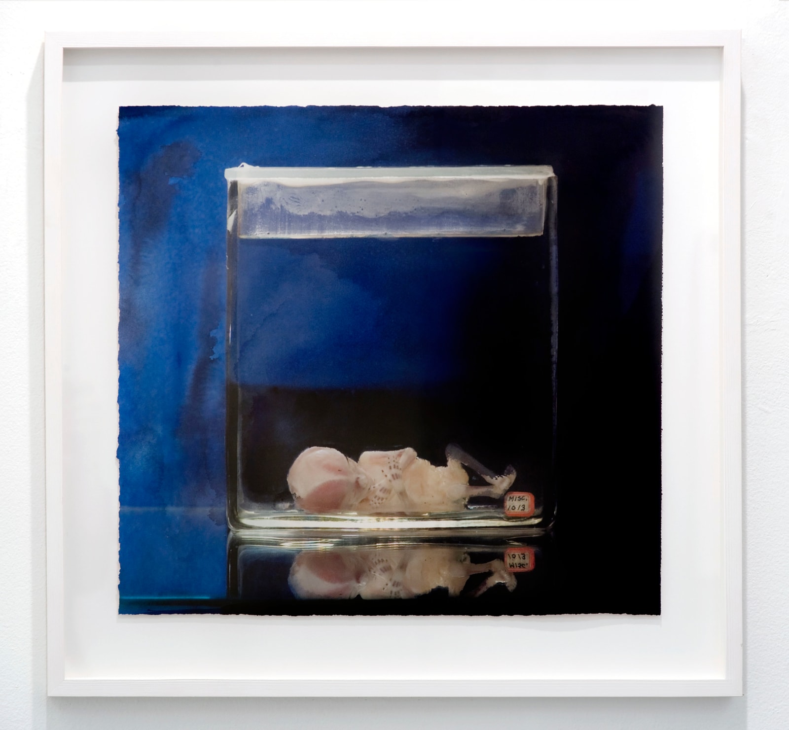 Tove Kjellmark, Misc, 2011