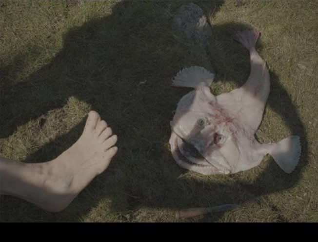 Martina Hoogland Ivanow, Montage of 18 photographs from 2009-2023, 2023