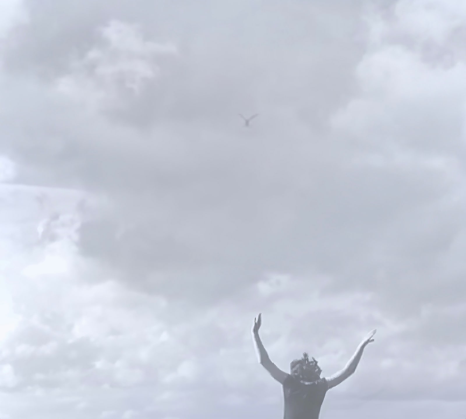Joanne Grüne-Yanoff, Cassandra's Sky II