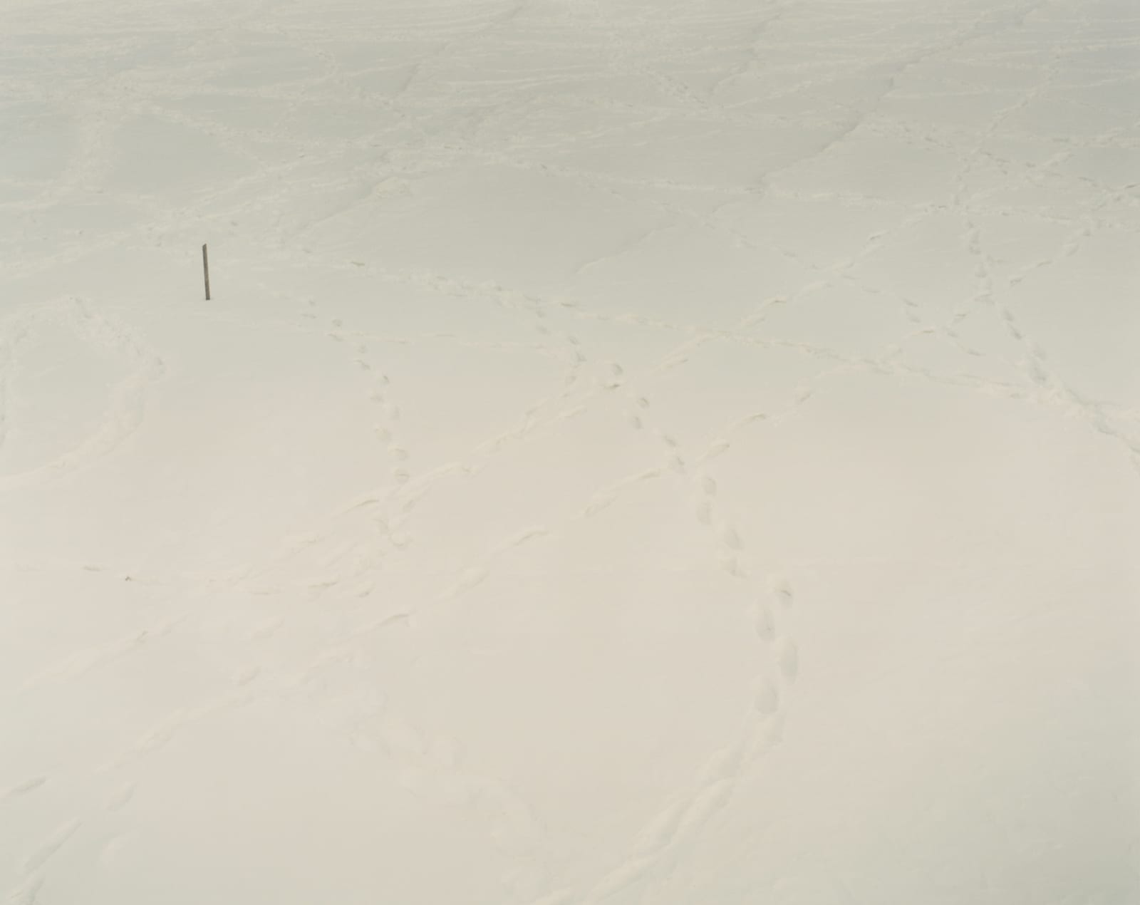 Martina Hoogland Ivanow, Far Too Close, 2002-8