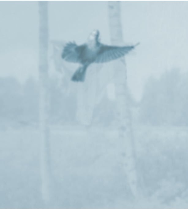 Joanne Grüne-Yanoff, Cassandra's Escape (air), 2025