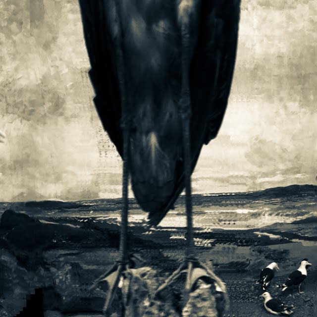 Serinyà, Noises from the Silent Land no 5894, 2017