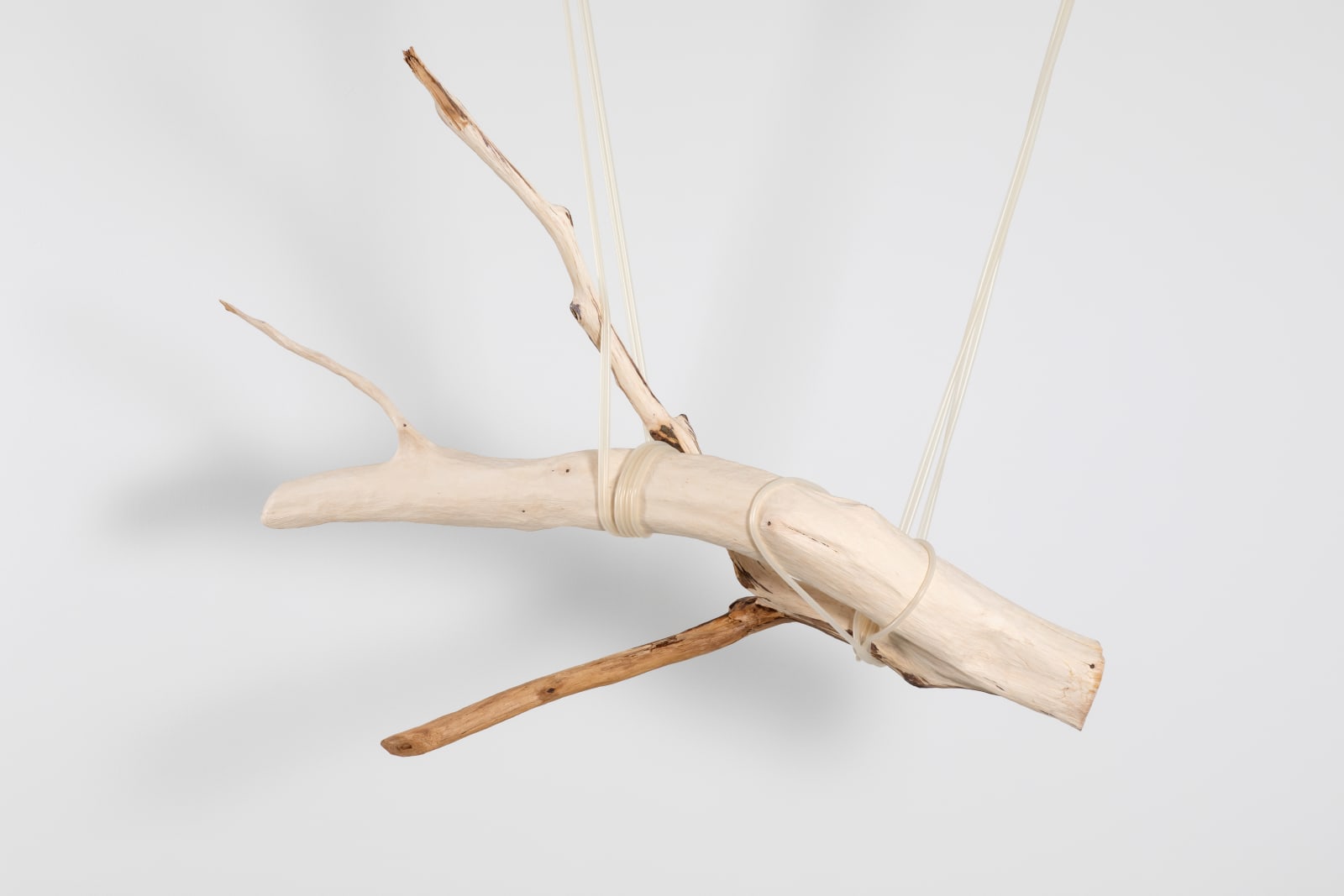 Jordana Loeb, Tendon IV, 2022