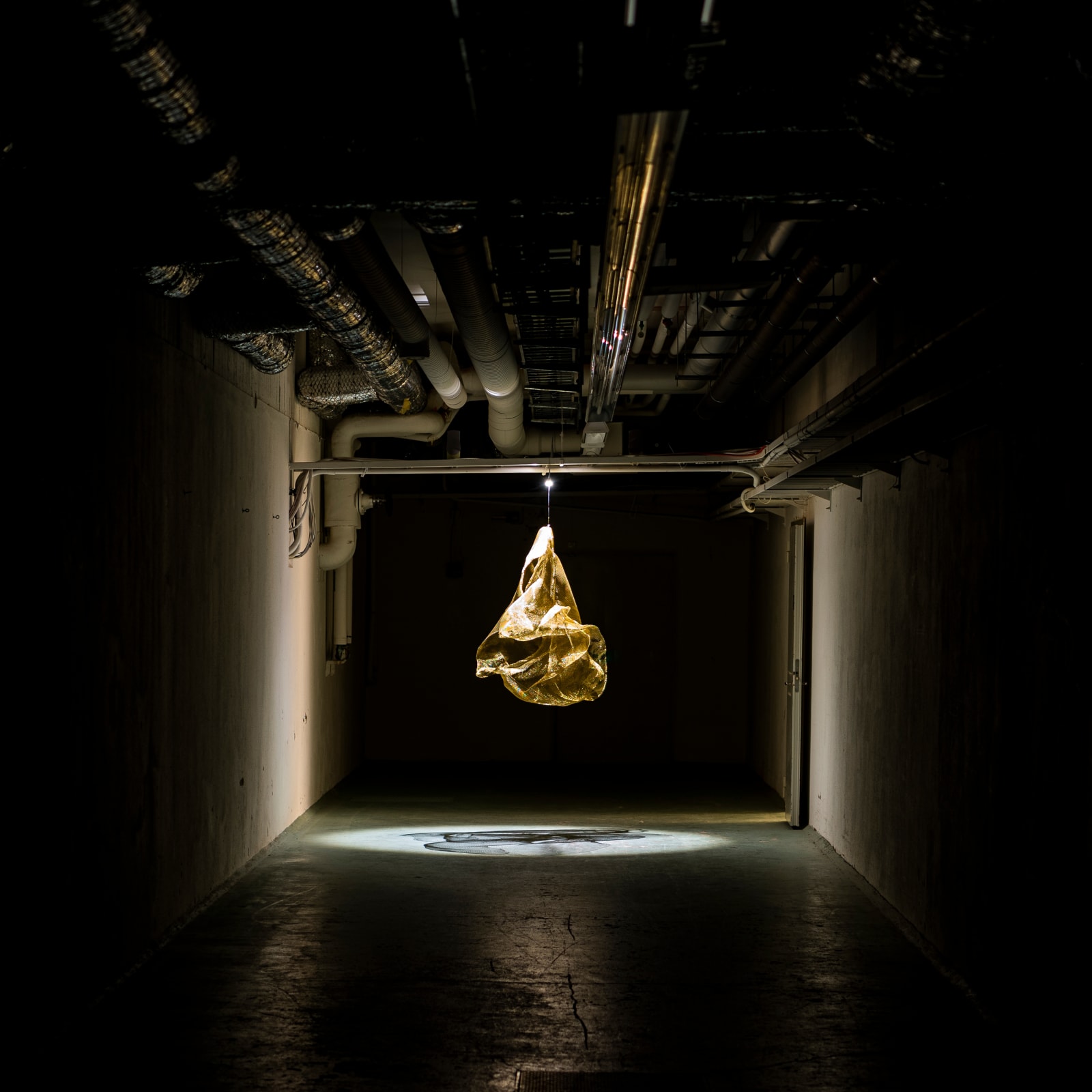 Serinyà, Whispers From The Mesh, 2018