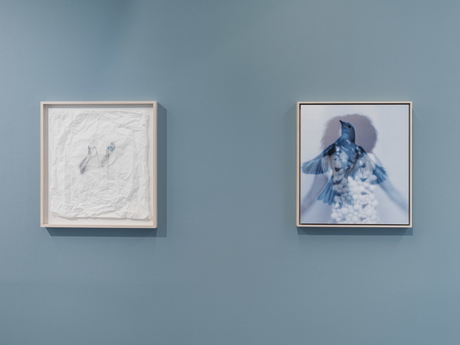 Joanne Grüne-Yanoff, Cassandra's Escape (wait), 2025