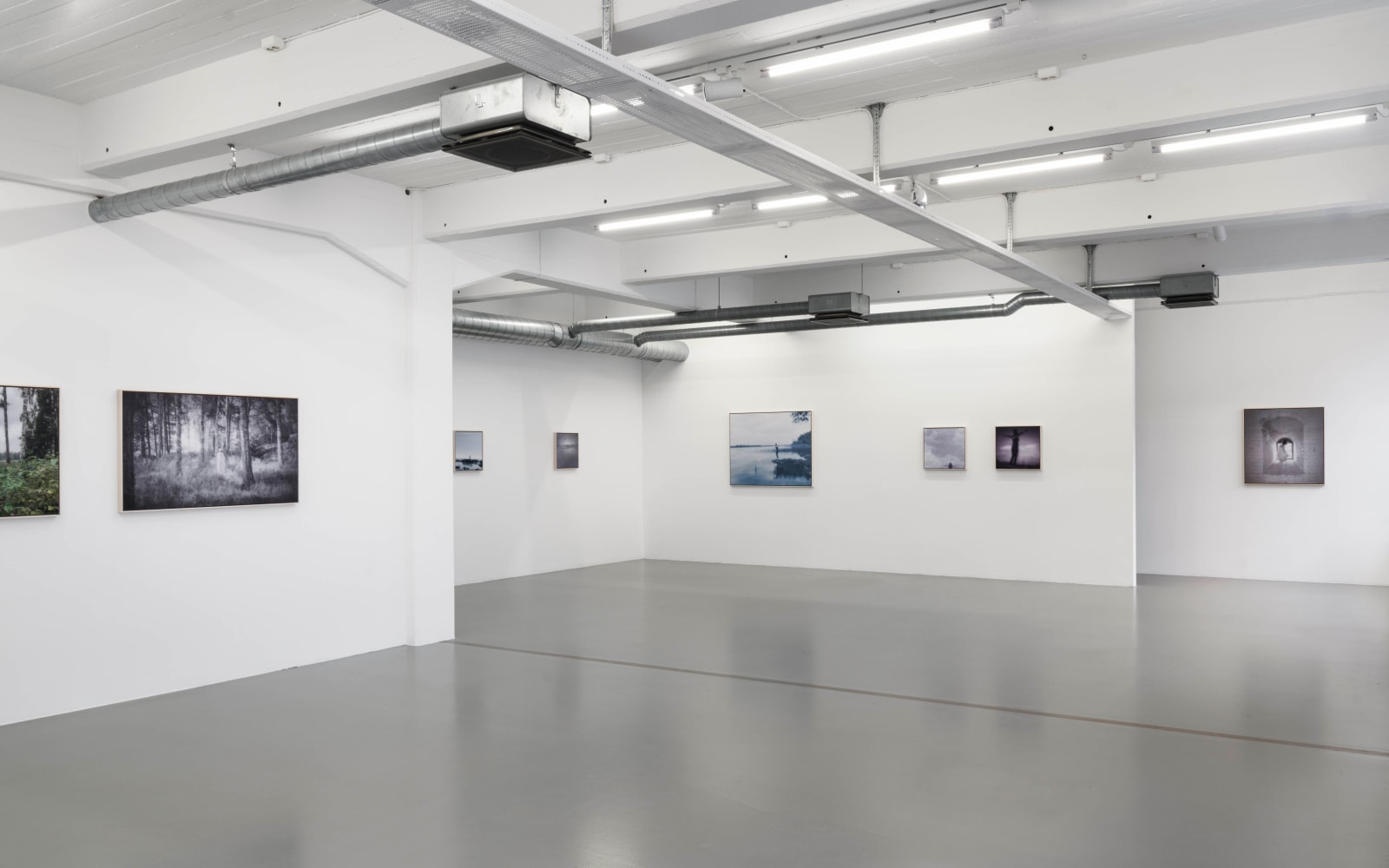 Joanne Grüne-Yanoff, Cassandra's Edge II