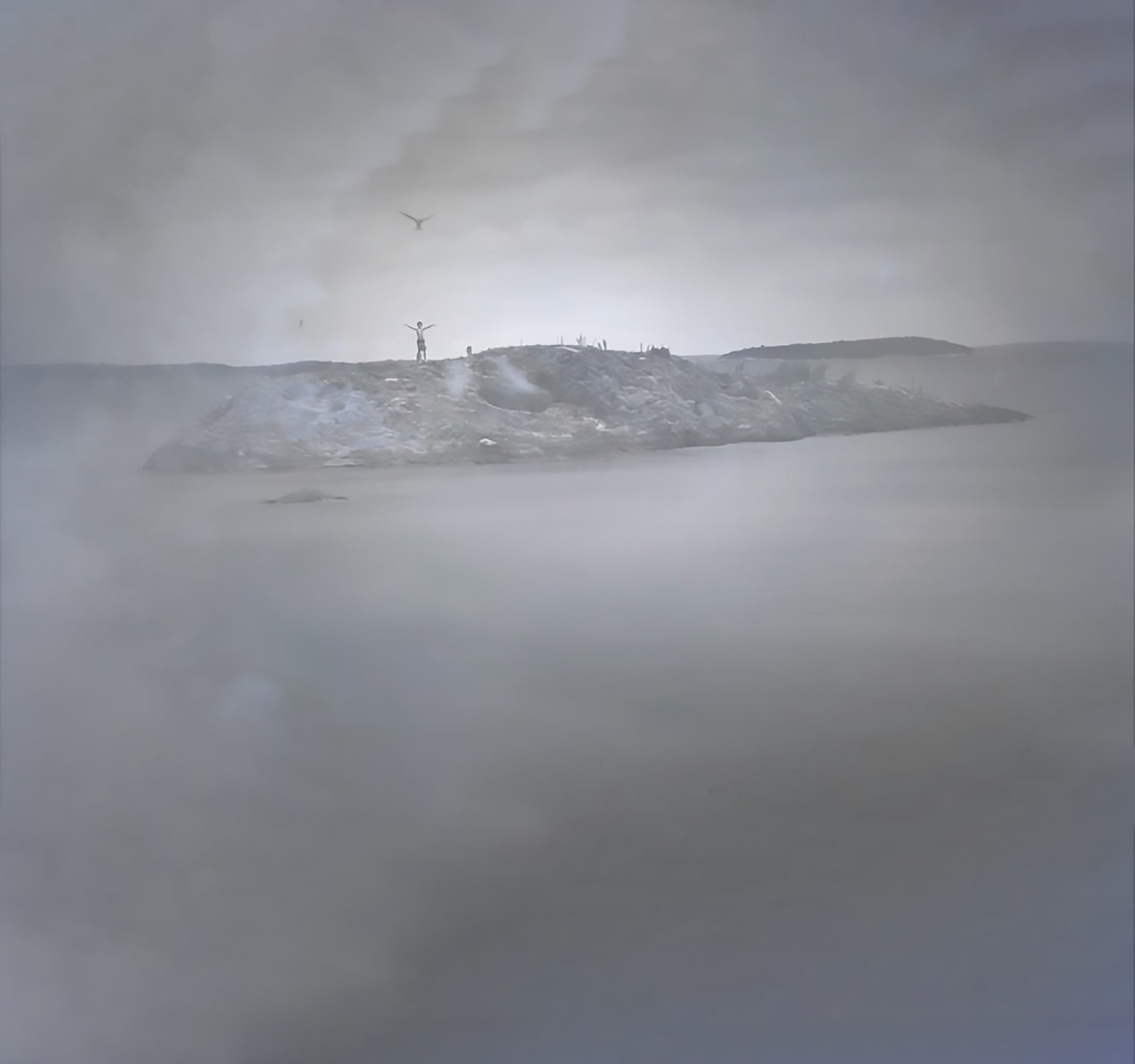 Joanne Grüne-Yanoff, Cassandra's Dream II