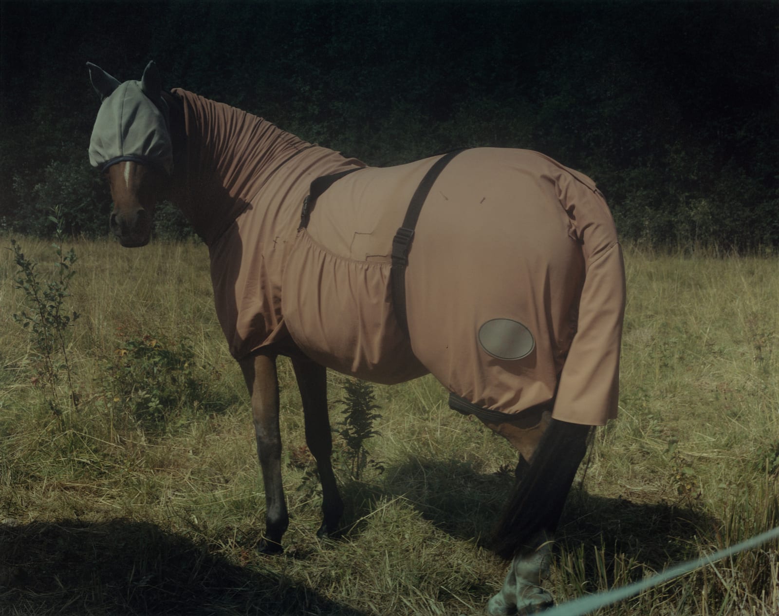 Martina Hoogland Ivanow, Far Too Close, 2002-8