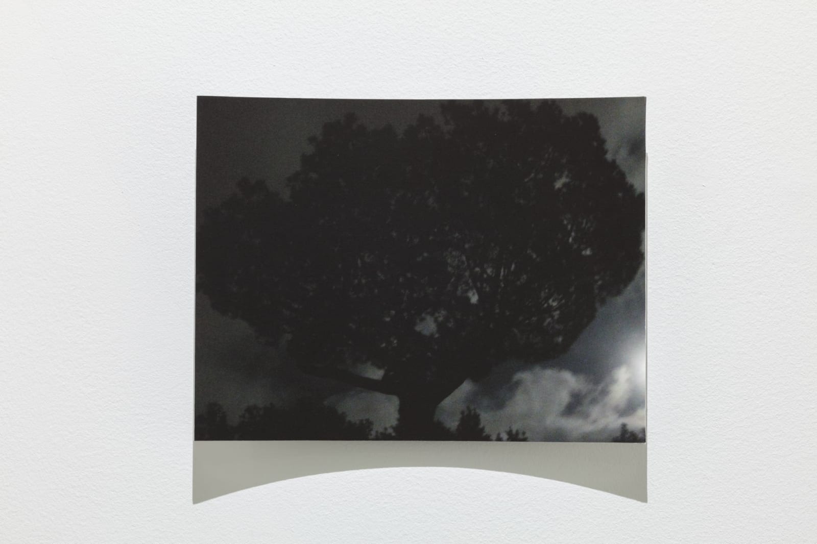 Karl Dunér, Parabol 11, 132 a 9, 2023