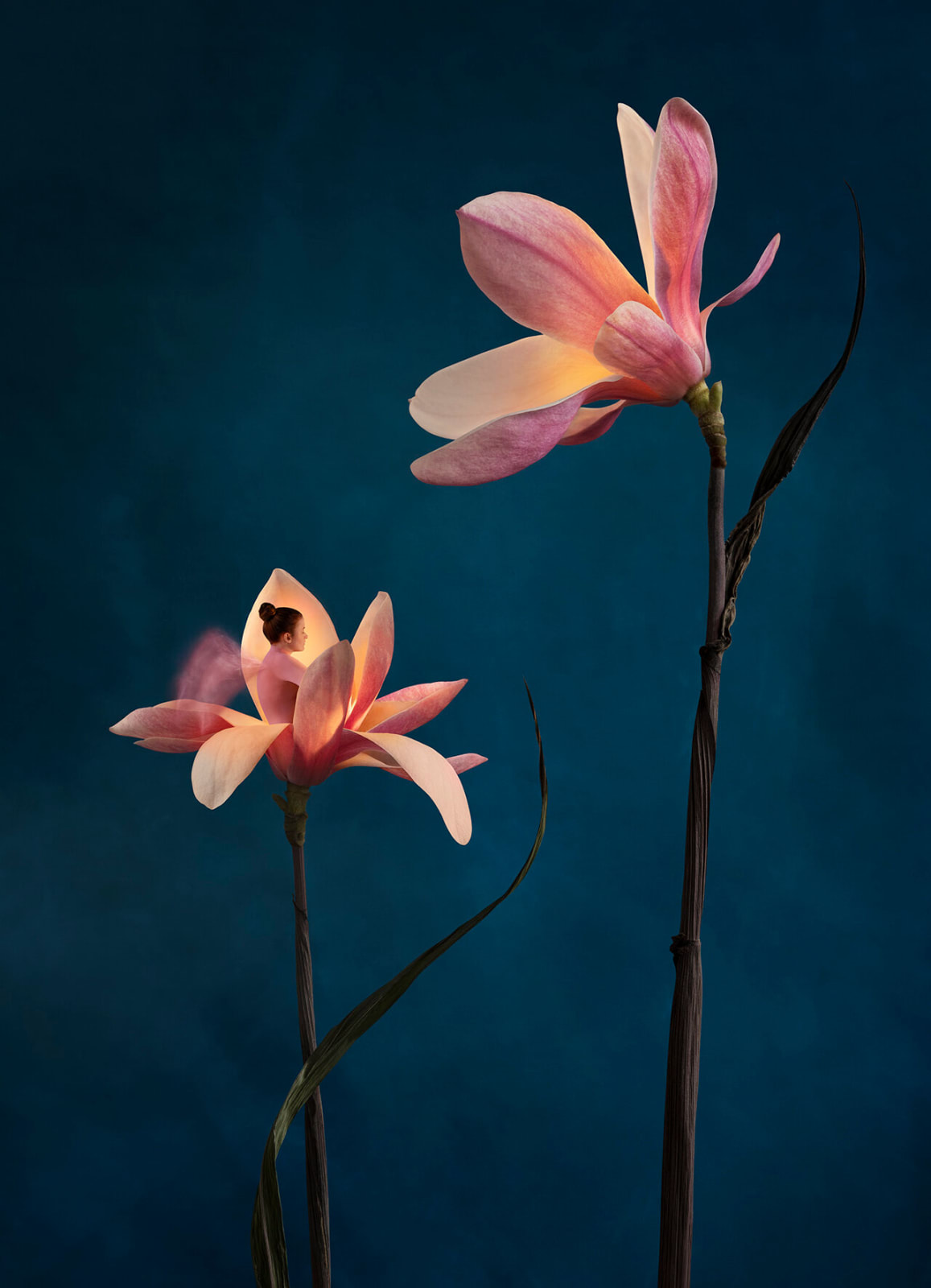 SONJA HESSLOW, The awakening