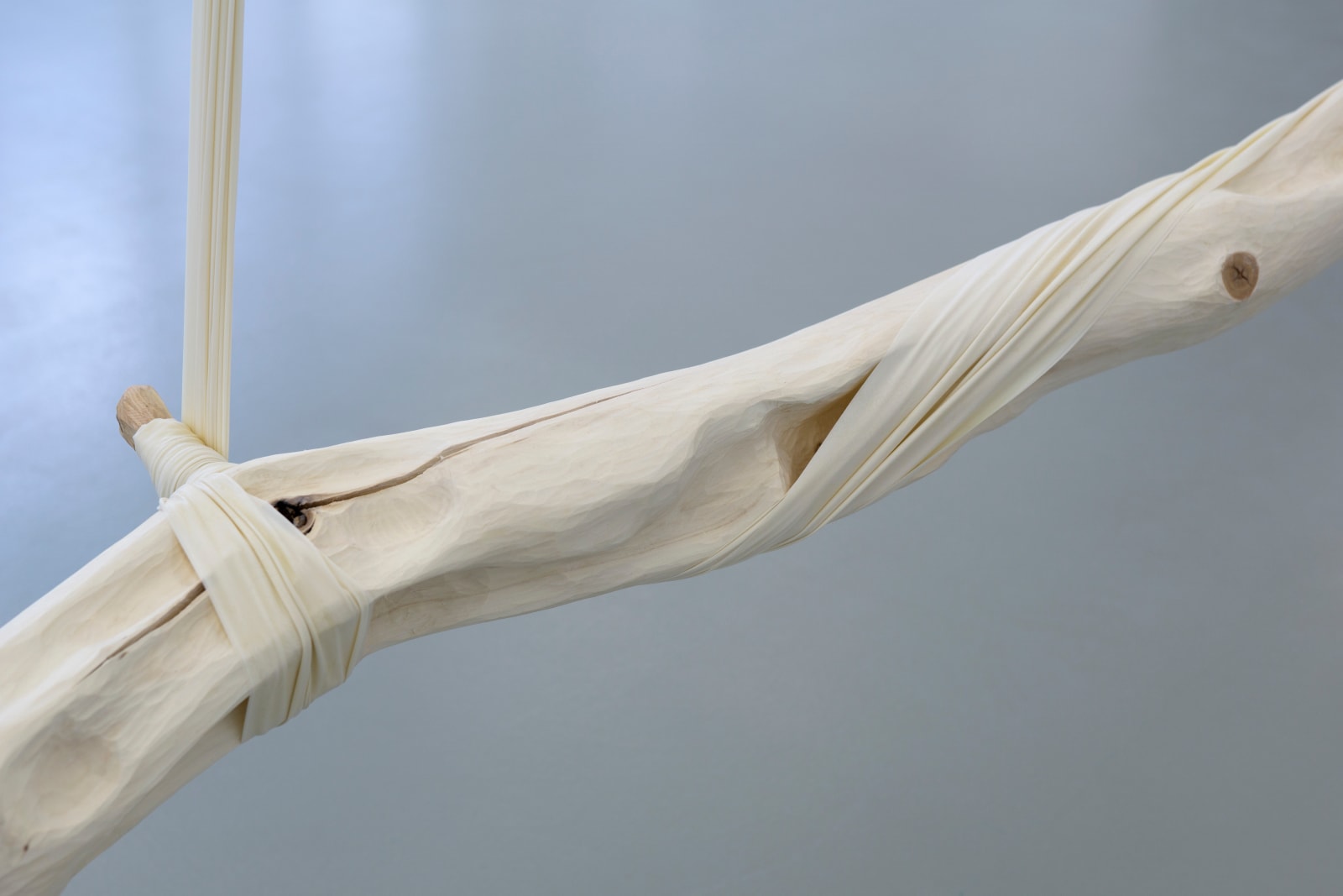 Jordana Loeb, Tendon III, 2022