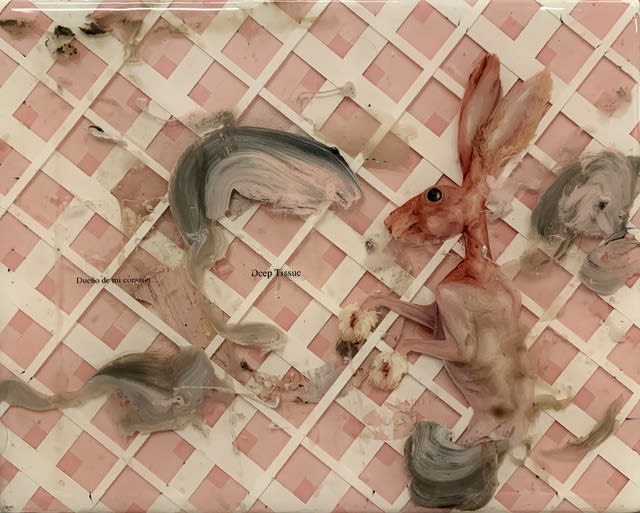 Maikel Dominguez, He Calls Me Diablo (Deep Tissue), 2019