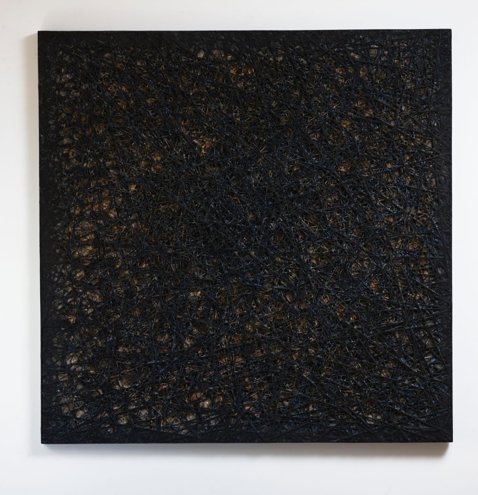 David Eisenhauer, Centaurus