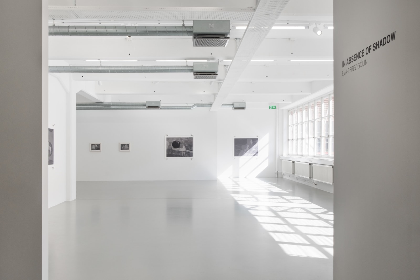 Eva-Teréz Gölin, Untitled, Deflation #8, 2022