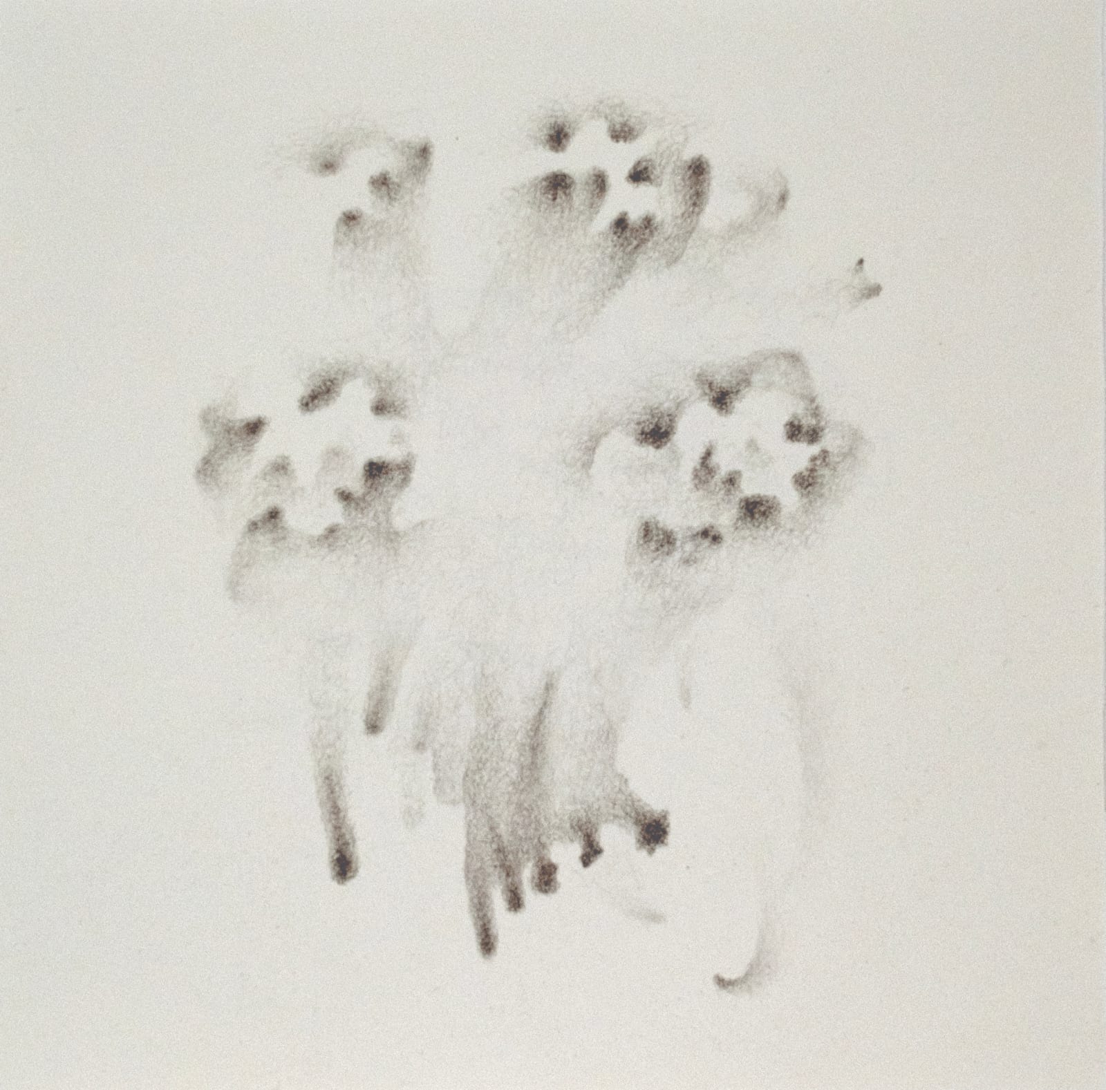 Johnathan Daily, Långsam tillväxt, 2025