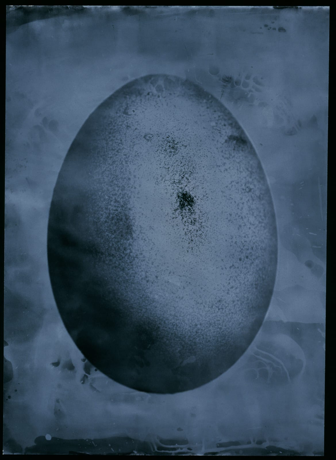 Paul Quant, Fertility