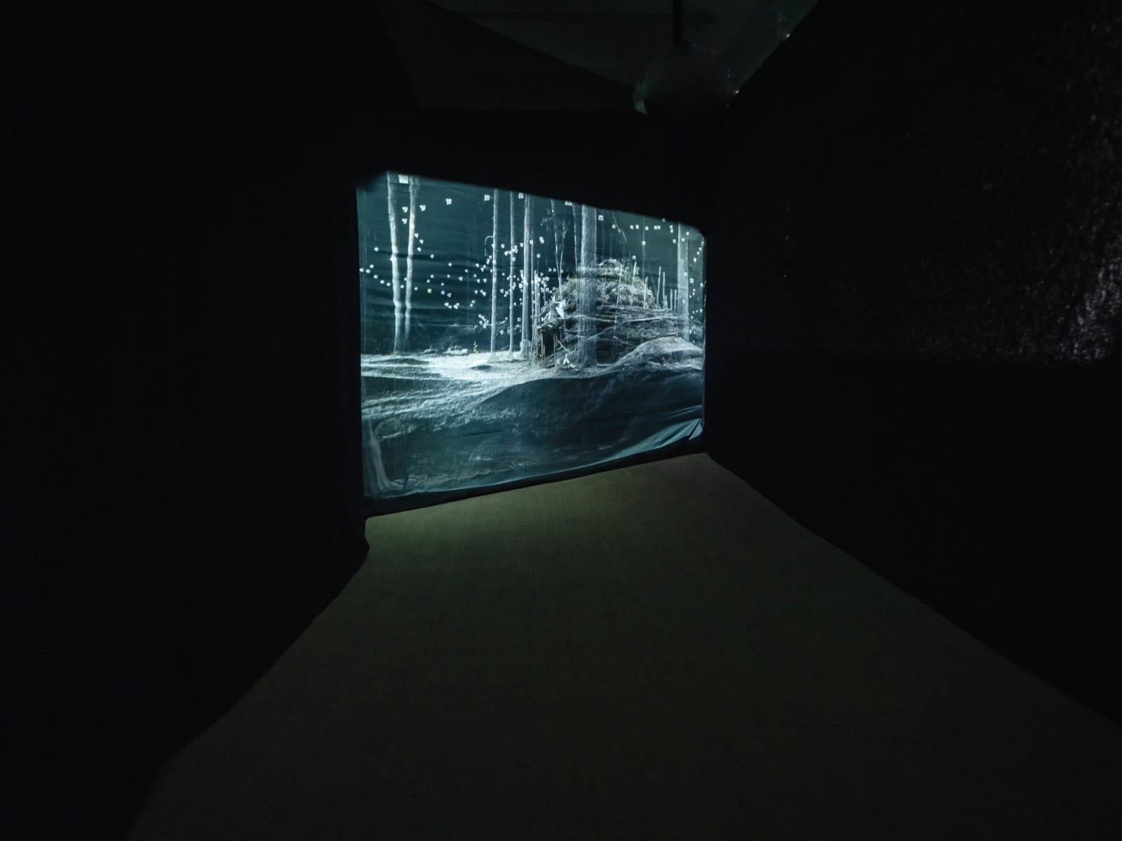 Martina Hoogland Ivanow, Second Nature 1, 2022