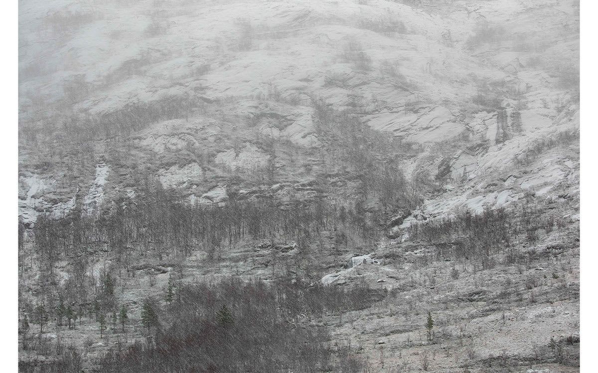 Karin Alfredsson, SNÖ OCH REGN SKALL PASSERA No. 2, 2020
