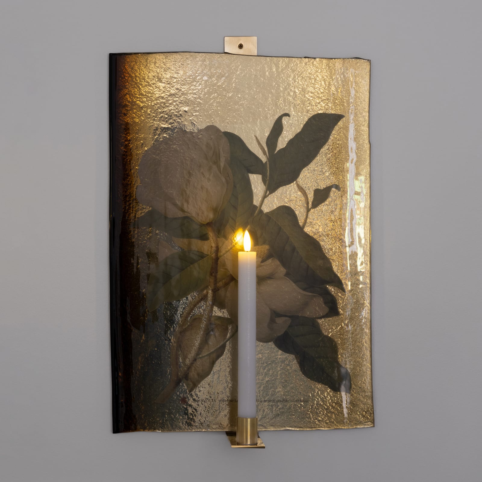 ULLA FORSELL, BOTANICA, MAGNOLIA ALTISSIMA, I, 2023