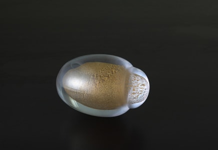 LAURA DE SANTILLANA, TESTA (BUDDHA HEAD) 2013, 2013