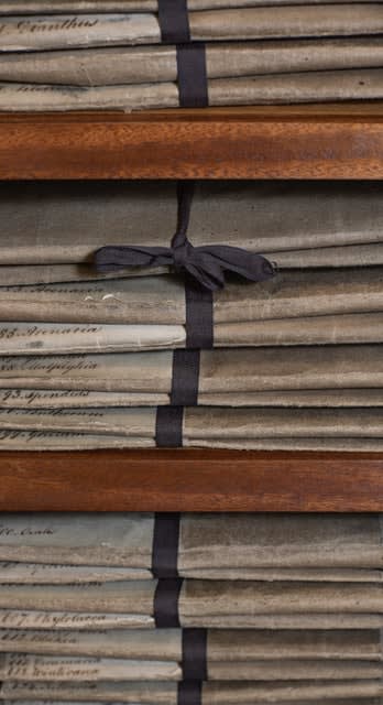 LENA GRANEFELT, Folders, 2023