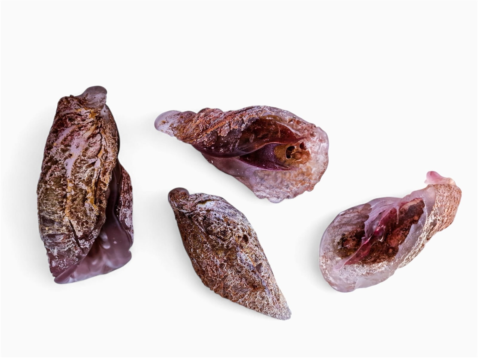 Ulrika Barr, SANY THINGS X 4, 2024