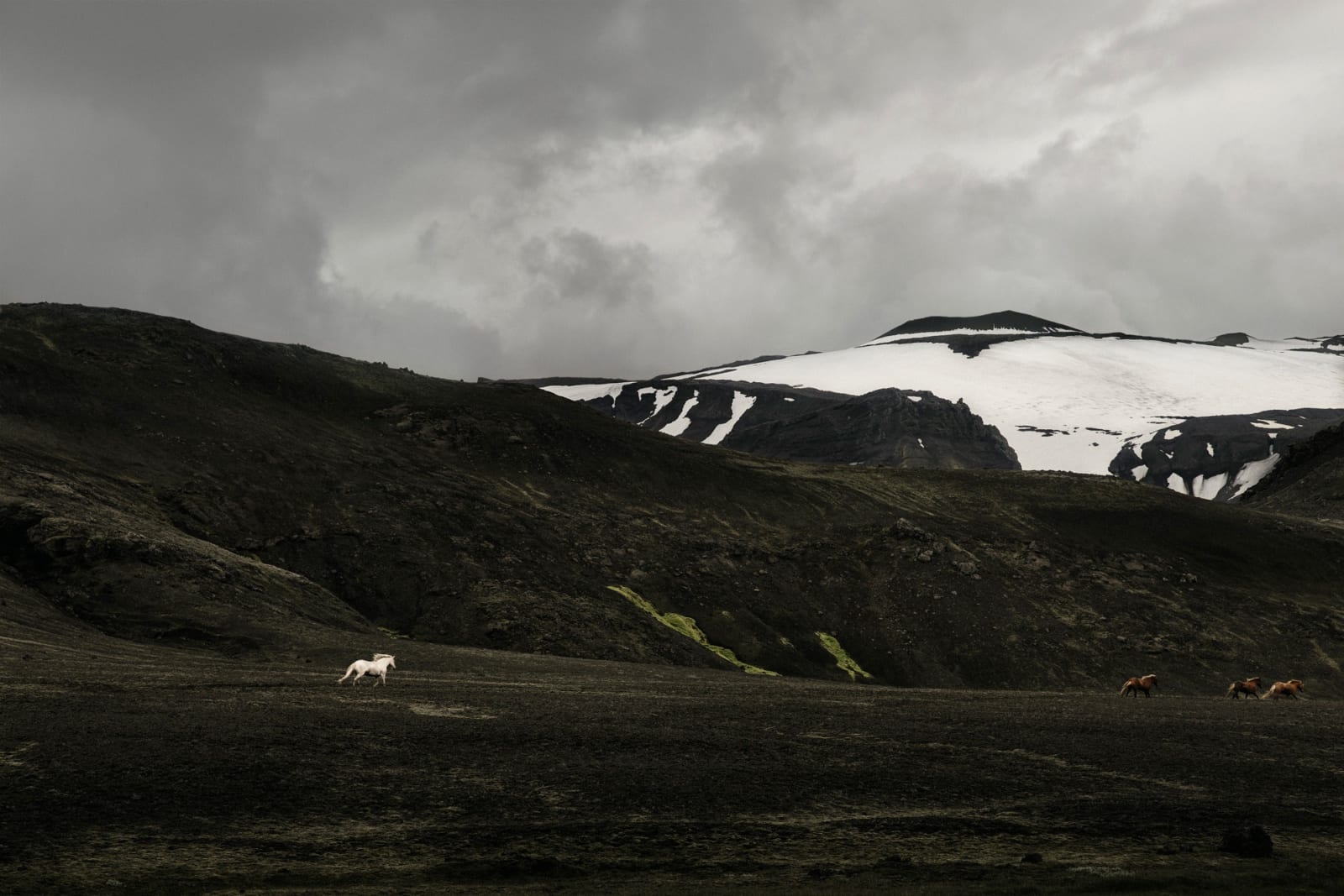 Susanne Walström, HEKLA, 2024