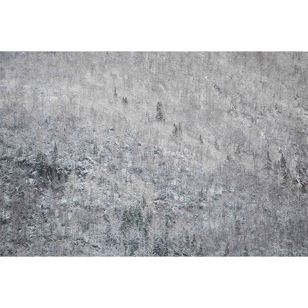 Karin Alfredsson, SNÖ OCH REGN SKALL PASSERA No. 9, 2020