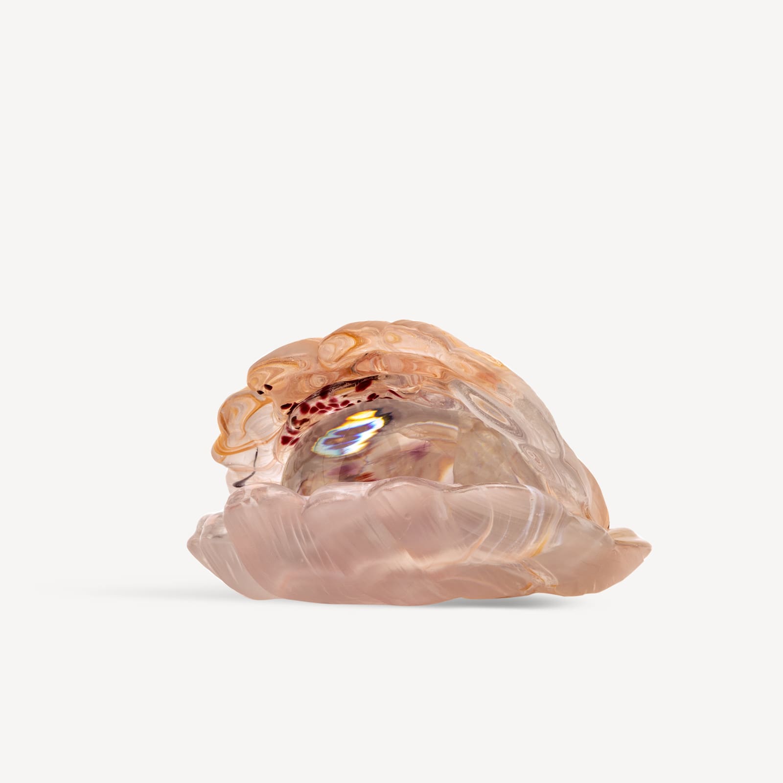 ÅSA JUNGNELIUS, MUSSLAN V, 2022